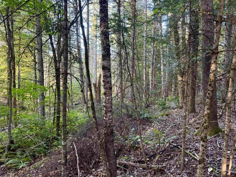 Land, Colebrook, NH