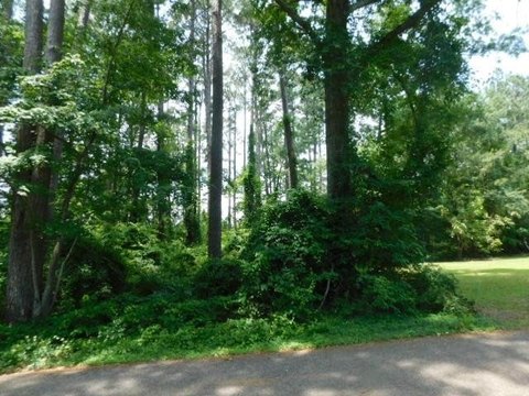 LAND - Hemphill, TX
