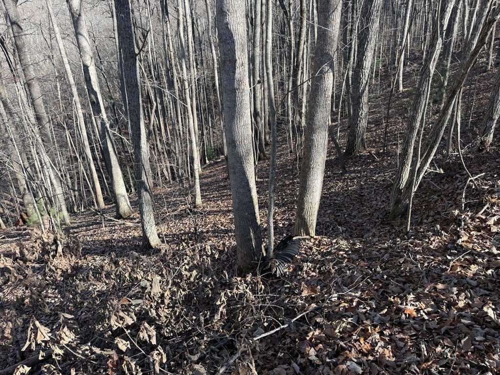 Picture 3