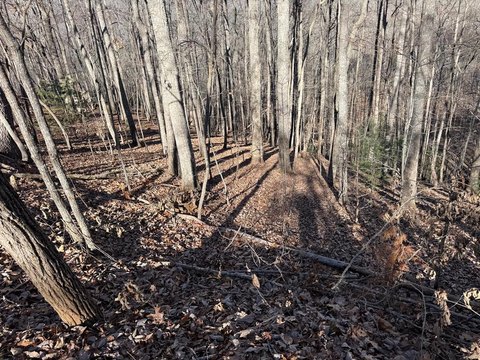 Blairsville, GA Vacant Wooded Lot