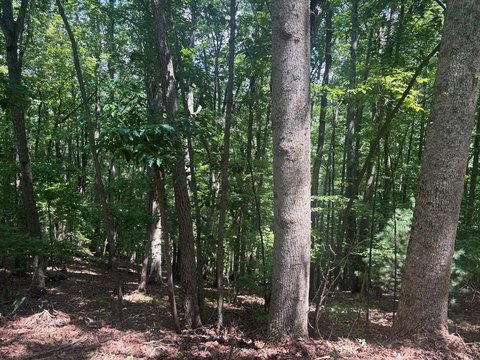 Blairsville, GA Vacant Wooded Lot