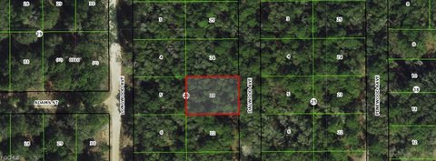LAND - Inverness, FL