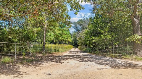 Treed Hunting Land with Ponds