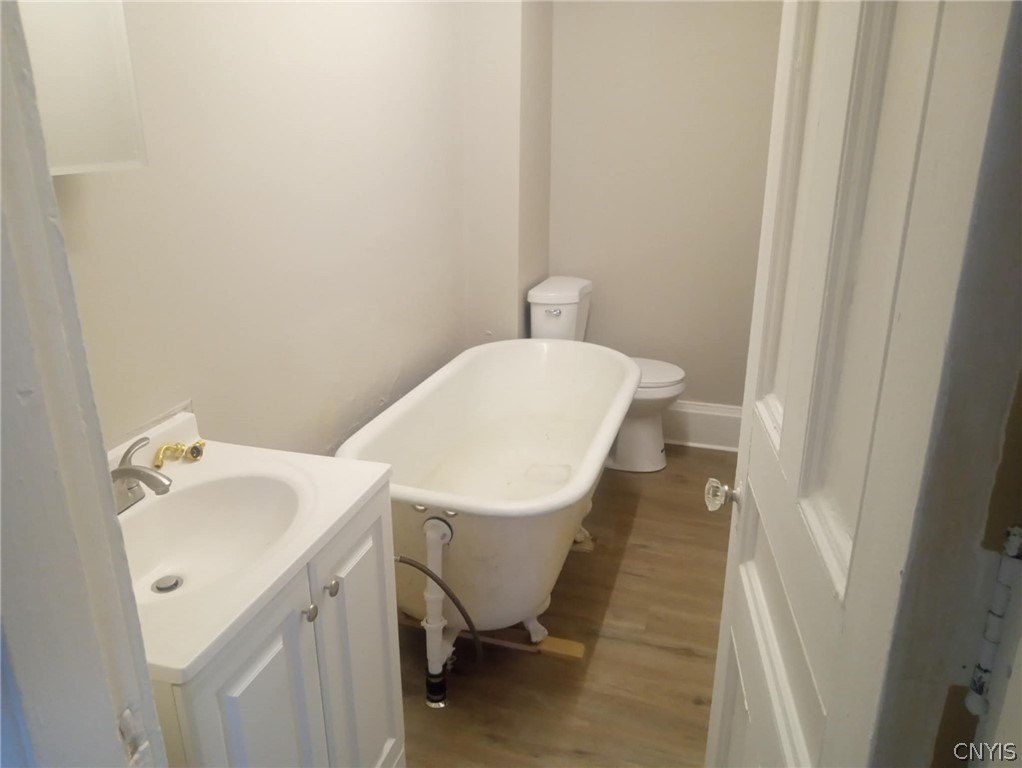 Picture 19