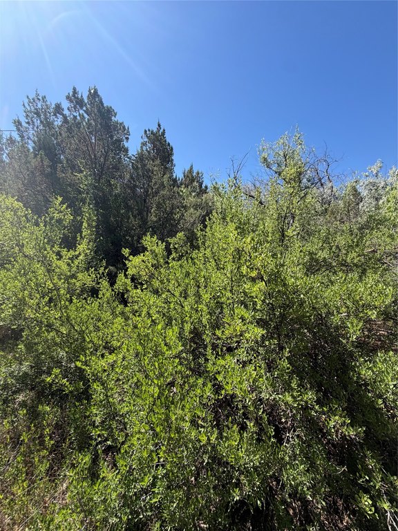 Picture 20