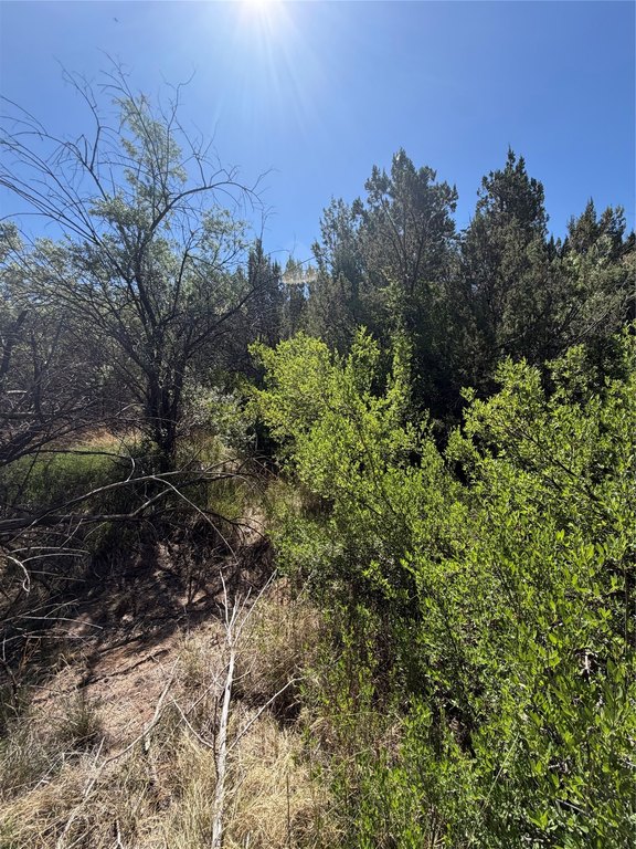 Picture 19