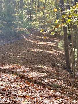LAND - Brasstown, NC