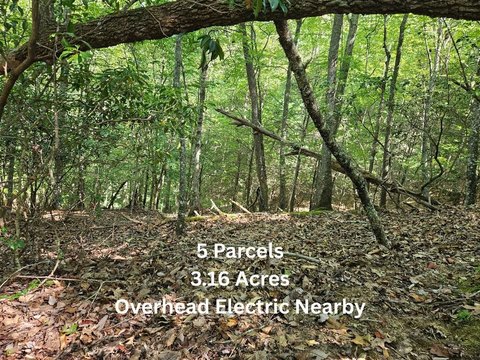 Land, Franklin, NC