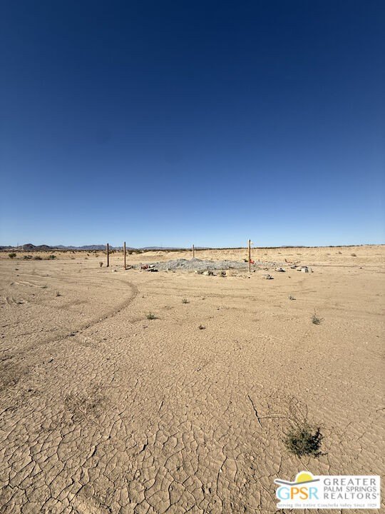 Picture 5