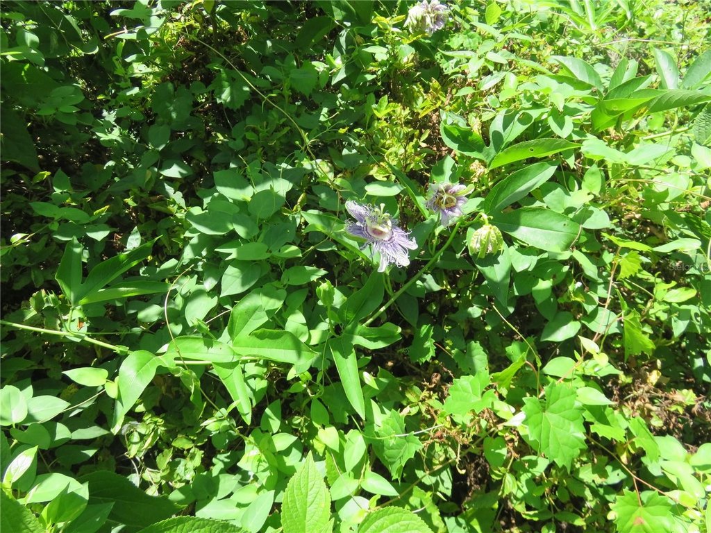 Picture 11