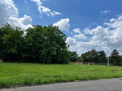 Detroit Land Development Opportunity