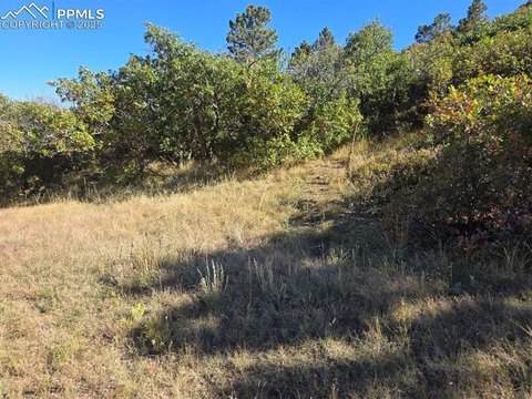 Colorado Springs 40-Acre Land Parcel