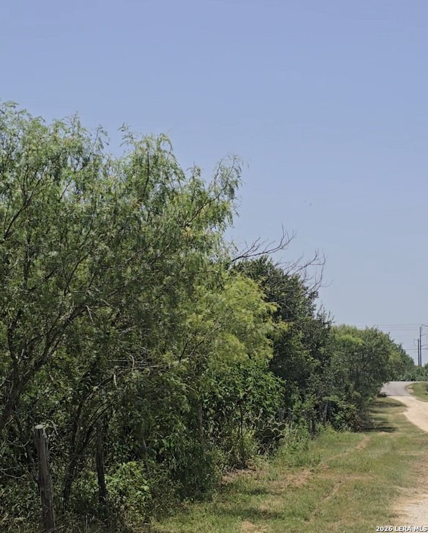 Picture 6