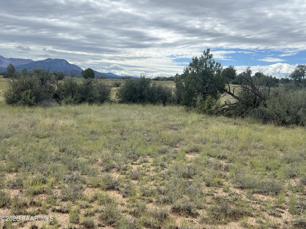 Picture 25