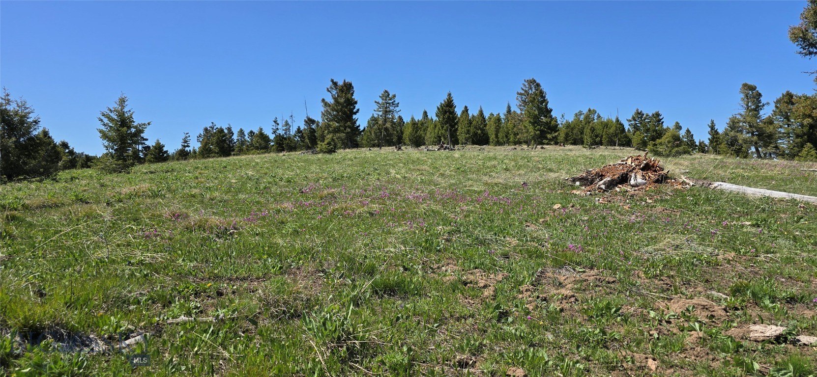 LAND - Drummond, MT