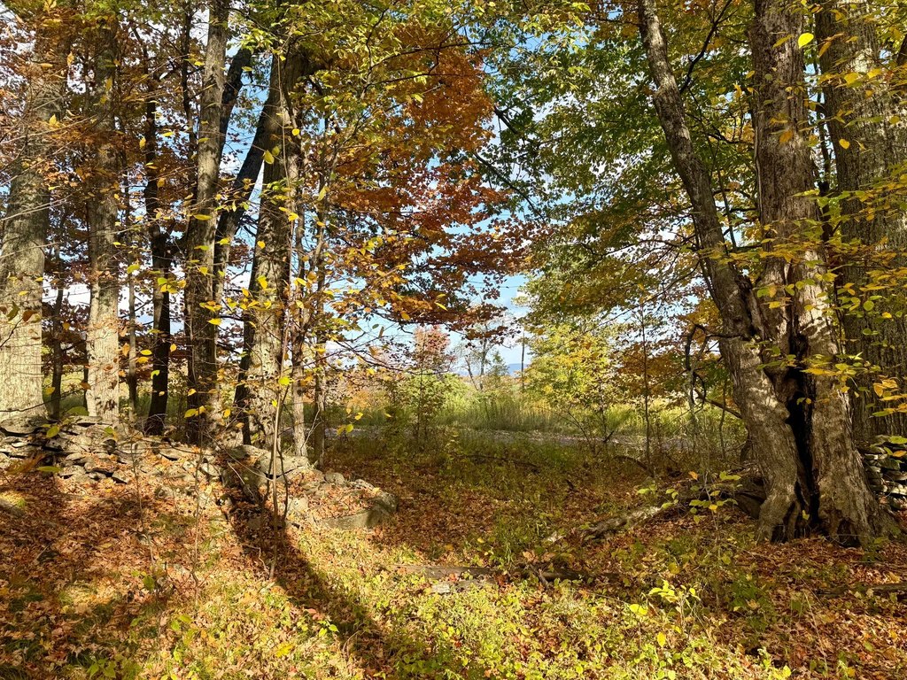 Picture 23