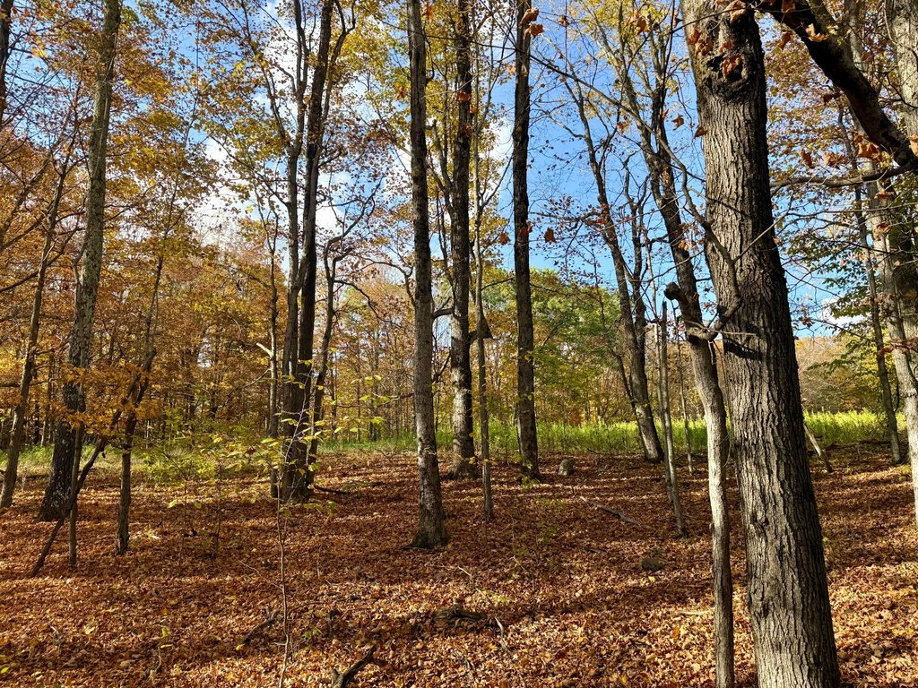 Picture 38