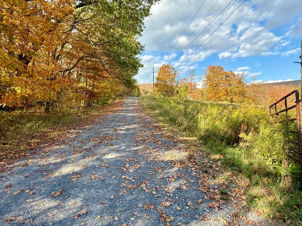 Picture 20