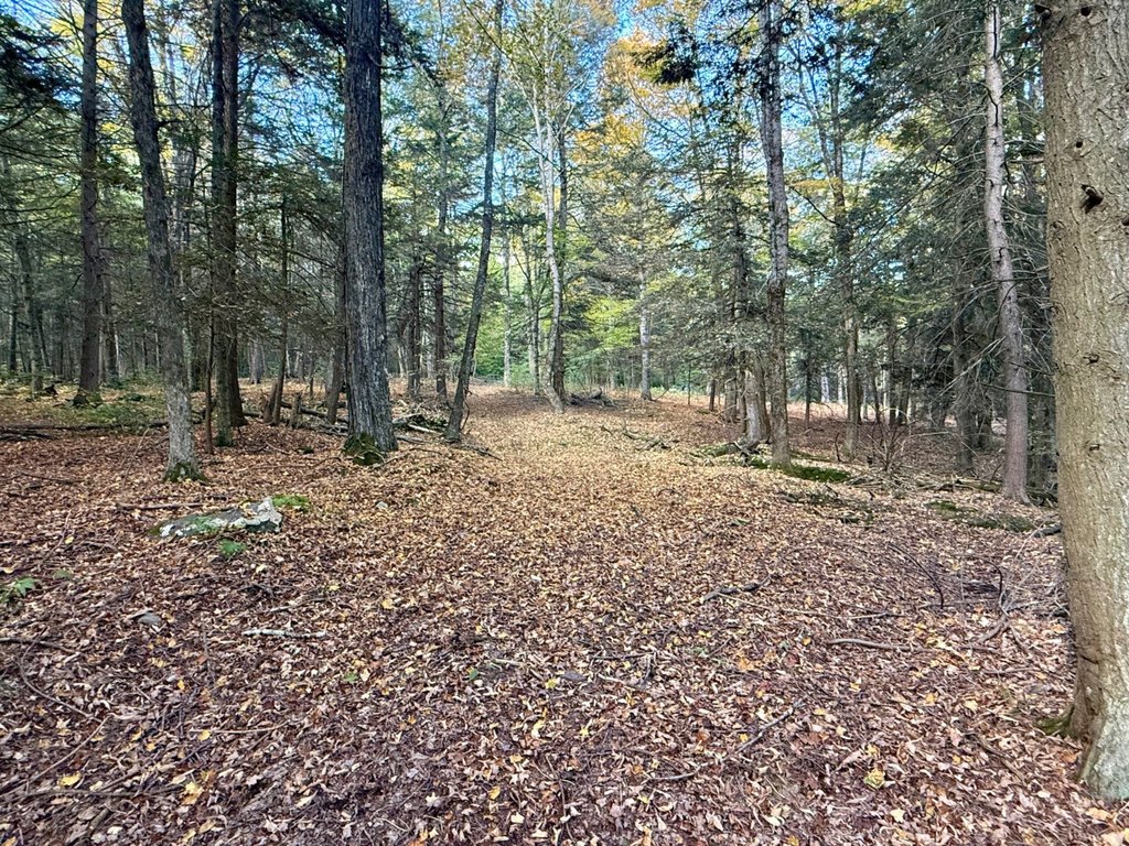 Picture 42