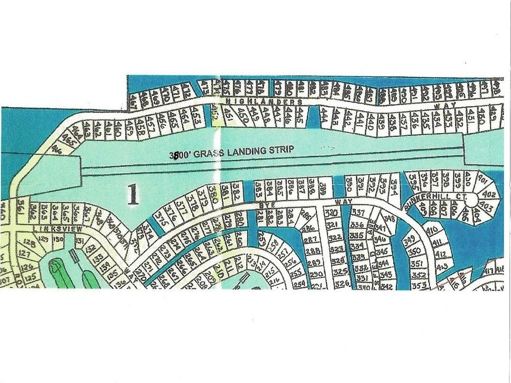 Picture 7