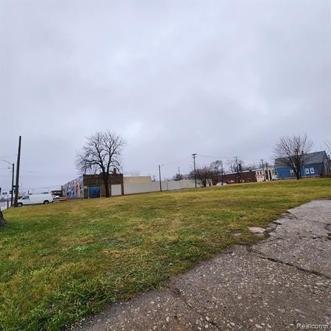 Picture 5