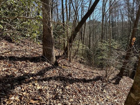 Mountain Property with Creek View
