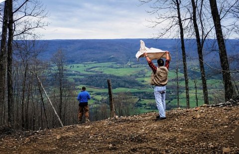 LAND - Spring City, TN