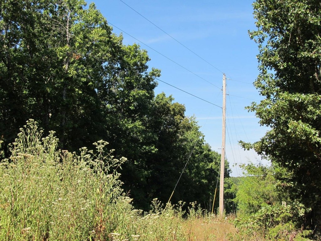 Picture 10
