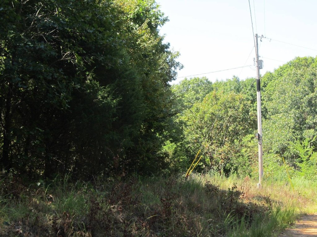 Picture 5