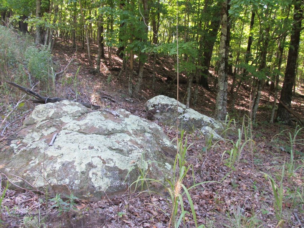 Picture 12