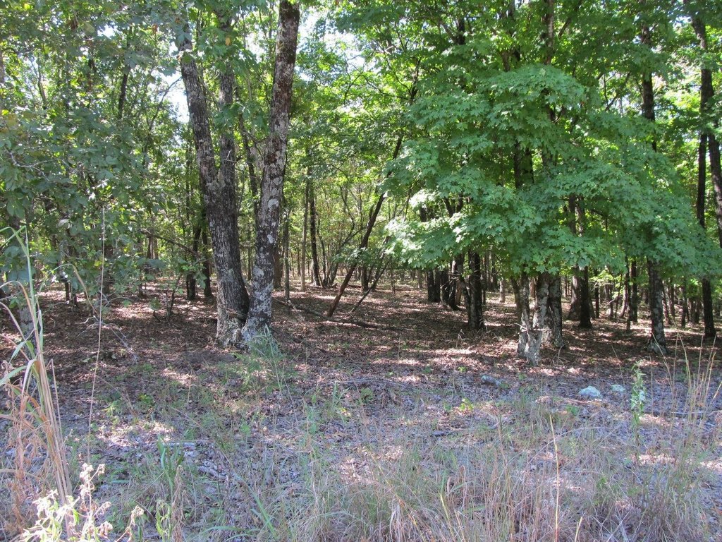 Picture 2