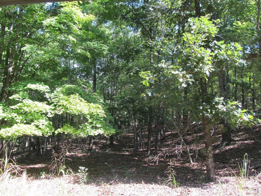 Picture 11