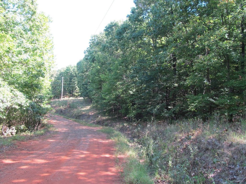 Picture 7