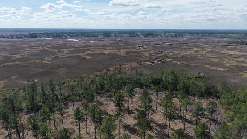 397-Acre Waverly Recreational Legacy Estate