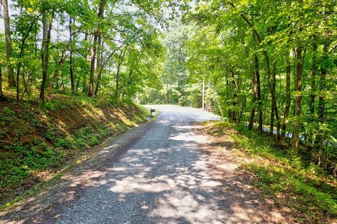 Vacant Lot, Mineral Bluff, GA