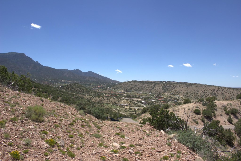 Picture 9