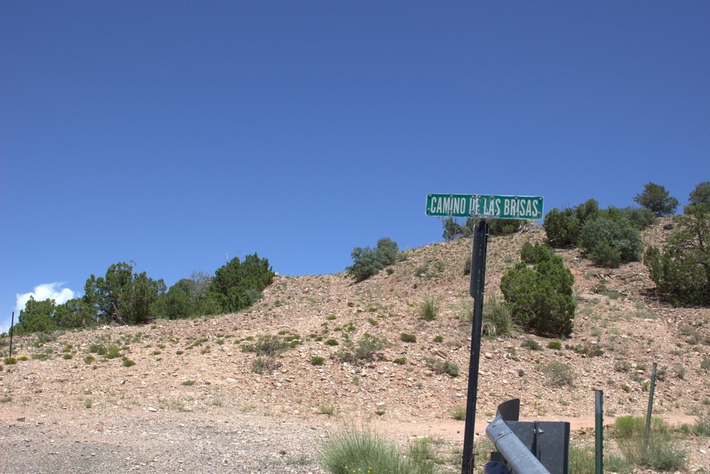Picture 14