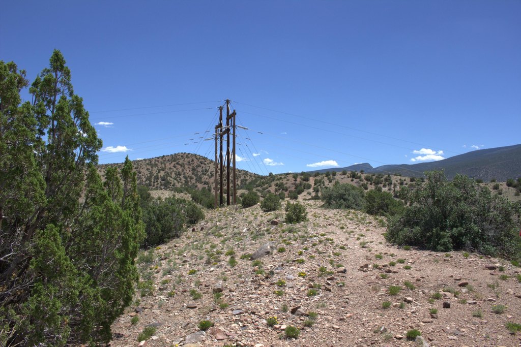 Picture 6