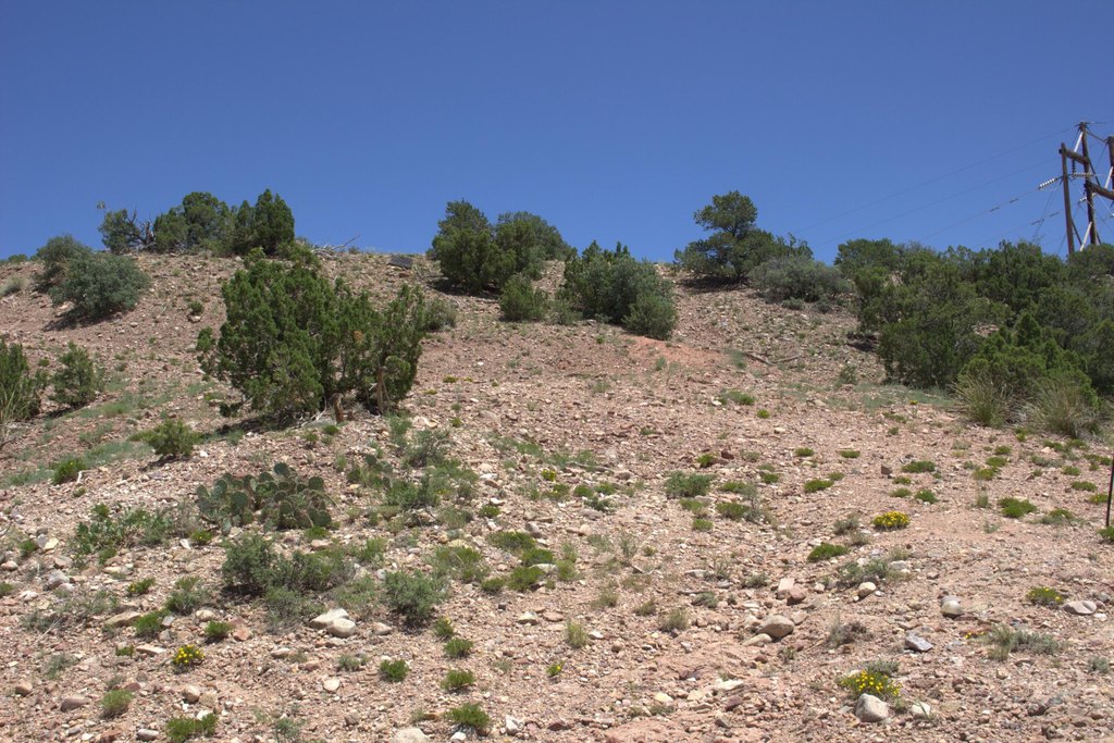 Picture 11
