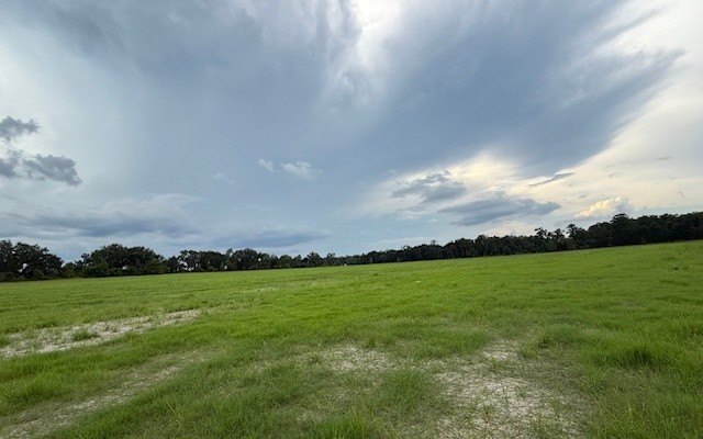 Picture 4
