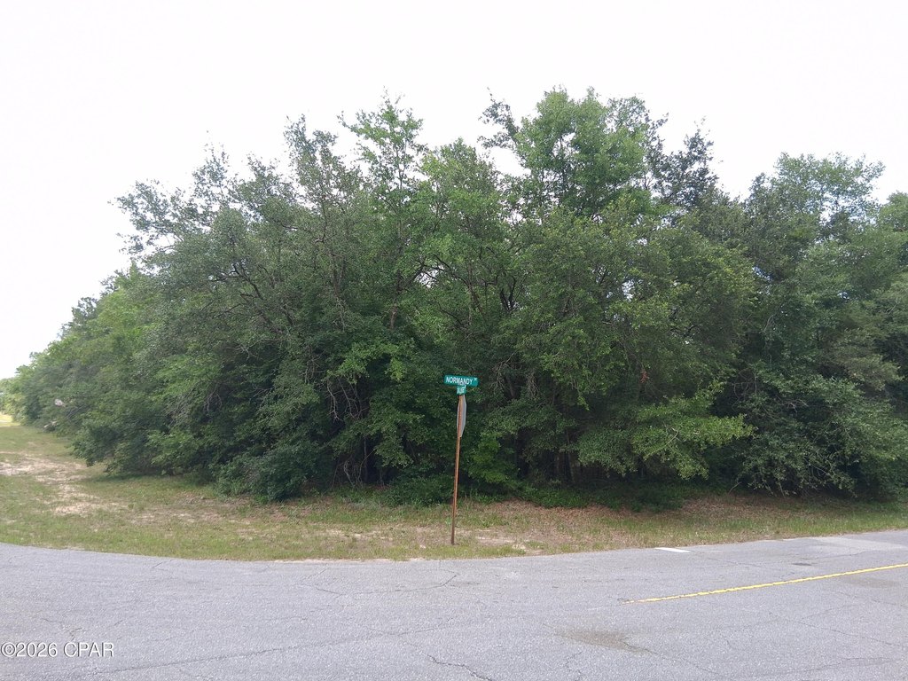 Picture 4