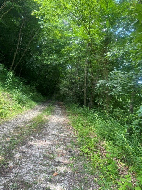 Picture 2