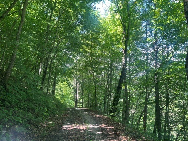 Picture 10