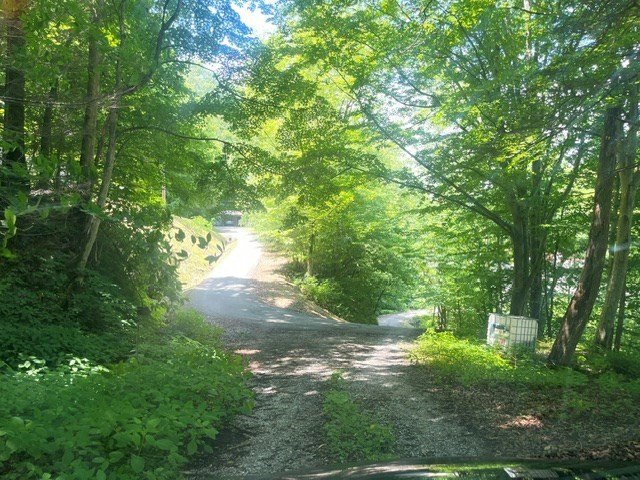 Picture 11