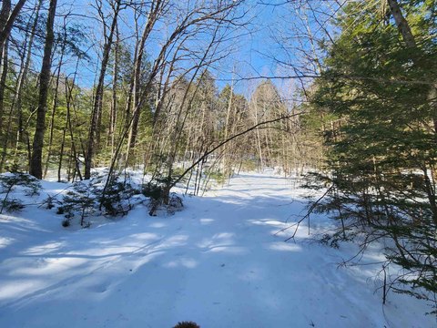 Tilton, NH Wooded Acreage