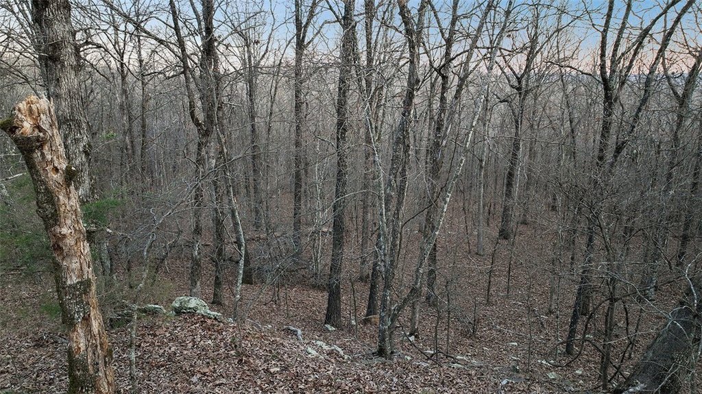 Picture 21