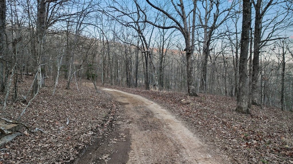Picture 6