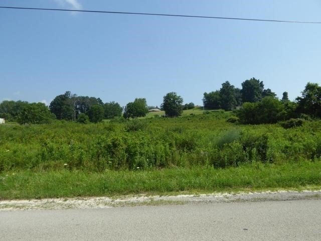 Picture 2