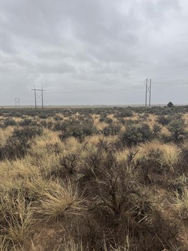 Land, Cedar City, UT
