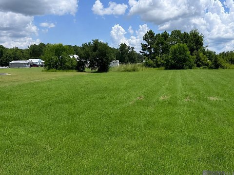Land, Springfield, LA